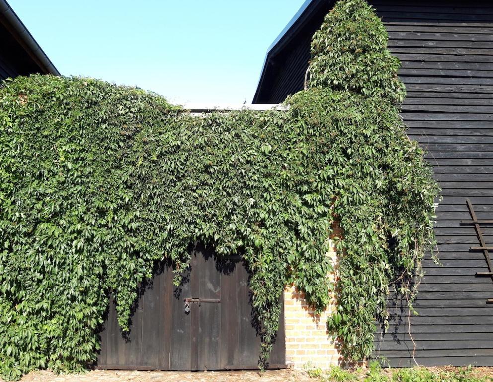 Ein Bett Im Kornfeld - Haus Fernweh - Innenpool Schonfeld  Bagian luar foto